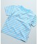 【COTTON from U.S.A】マイニチワッペンボーダーTシャツ