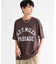 カレッジロゴBIG Ｔシャツ【吸水速乾・JAPAN FABRIC】