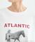【別注】LIFE PICTURE COLLECTION / ATLANTIC CITY フォトT