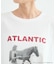 【別注】LIFE PICTURE COLLECTION / ATLANTIC CITY フォトT