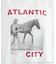 【別注】LIFE PICTURE COLLECTION / ATLANTIC CITY フォトT