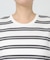 ＷボーダーコットンＴシャツ/マシンウォッシャブル