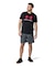UA TECH BIG LOGO SHORT SLEEVE T-SHIRT