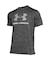 UA TECH BIG LOGO SHORT SLEEVE T-SHIRT