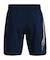 UA WOVEN GRAPHIC SHORTS