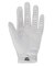 UA TOUR GOLF GLOVE