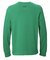 UA HEAVYWEIGHT COTTON GRAPHIC LONG SLEEVE T-SHIRT