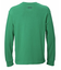 UA HEAVYWEIGHT COTTON GRAPHIC LONG SLEEVE T-SHIRT