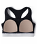 UA RIB WORDMARK BRA MEDIUM SUPPORT
