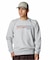UA ESSENTIAL TERRY NOVELTY CREW