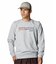 UA ESSENTIAL TERRY NOVELTY CREW