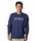 UA ESSENTIAL TERRY NOVELTY CREW