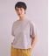 [ULTIMA] Cotton Border Tシャツ