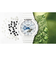 【G-SHOCK】HIDDEN GLOW SERIES GA-2100HDS-7AJF クォーツ メンズ