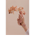 【MATOW】Shiki Bouquet 山桜 ローズゴールド メッシュ mw007001 クォーツ