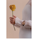 【MATOW】Shiki Bouquet 紅葉 ローズゴールド ブラウンレザー mw007002 クォーツ