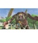 。switch/ゼルダの伝説　ブレス オブ ザ ワイルド 通常版HAC-P-AAAAA<br>◆購入台数上限につきまして◆ こちらの商品は人気商品のため、色違い・仕様違い等含め「一家族１台限り」でのご協力をお願いしております。 短期間での2回目以降の購入、過去を含め複数台の注文が確認できました際は(他商品を含む場合も)、予告なく全キャンセルさせて頂く場合がございます。