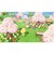 switch/あつまれ どうぶつの森 　HAC-P-ACBAA<br>◆購入台数上限につきまして◆ こちらの商品は人気商品のため、色違い・仕様違い等含め「一家族１台限り」でのご協力をお願いしております。 短期間での2回目以降の購入、過去を含め複数台の注文が確認できました際は(他商品を含む場合も)、予告なく全キャンセルさせて頂く場合がございます。