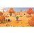 switch/あつまれ どうぶつの森 　HAC-P-ACBAA<br>◆購入台数上限につきまして◆ こちらの商品は人気商品のため、色違い・仕様違い等含め「一家族１台限り」でのご協力をお願いしております。 短期間での2回目以降の購入、過去を含め複数台の注文が確認できました際は(他商品を含む場合も)、予告なく全キャンセルさせて頂く場合がございます。