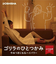 ドウシシャ/doshisha/ゴリラのひとつかみグレーGRF2401GY