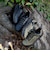 MERRELL メレル NOVA 4 WATERPROOF ノバ 4 ウォータープルーフ J068395 J068397