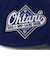 NEW ERA ニューエラ 大谷翔平 2024 MVP ドジャース 帽子 キャップ 9TWENTY Los Angeles Dodgers ロイヤル