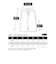 大きいサイズ【XL～6XL】Champion チャンピオン メンズ ショートパンツ ハーフパンツ Core Jersey Shorts CH301