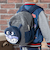 ばいきんまんボアリュック6L