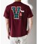 Ｔシャツ＜VANロゴ＞＜フロッキー＞
