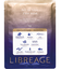 4箱セット LIBREAGE リブラージュ オールインワンフェイスマスク ヒト幹細胞培養液 エイジングケア EGF ヒアルロン酸