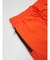 Collar Nylon S/PT