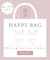 ブラジャー＆Tバックショーツセット福袋 ハッピーバッグ お買い得 かわいい