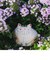 にったりねこ（小）