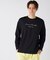 OceanPacific/オーシャンパシフィック  OPレディスLS-Tシャツ