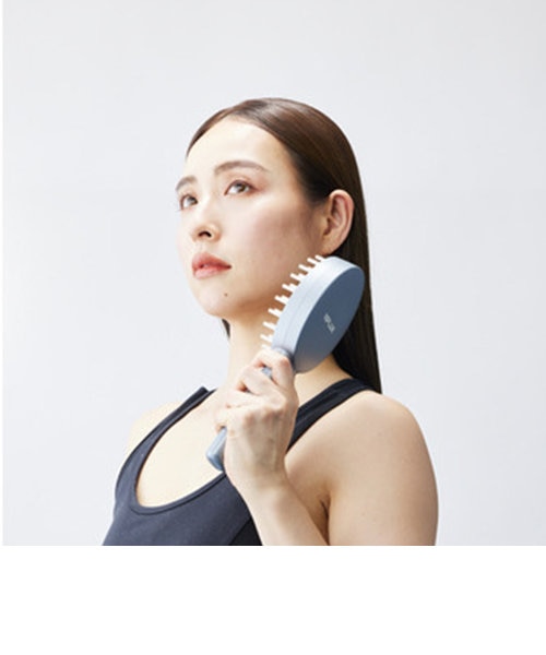 NIPLUX EMS リフトブラシ NP-ELB23SV 楽天市場】日創プラス NP-ELB23SV EMSリフトブラシ NIPLUX
