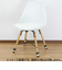 chair　socks　きのこのチェアソックス　CSK-KNK-03　クリイロタケ　4本入