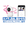 カシムラ（Kashimura）　スマートホームカメラ　首振　KJ－182
