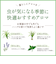 デイリーディライト　エッセンシャルオイル　ペパーミント　10mL
