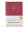 【2026年1月始まり】　ペイジェム（PAGEM　by　NOLTY）　メモリー（日記）　B7　デイリー2日1ページ　8502　レッド　日曜始まり