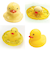 ほんやら堂　あひる　バスボールセット