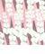 白雪　白雪友禅ふきん　胡蝶蘭　ピンク
