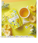 マグ＆ポット（Mug＆Pot）　四季春茶　6P