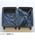 フリクエンター　リエーヴェ　52L　1‐252　ミントグリーン