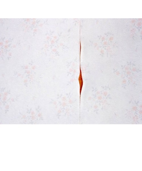 建築の友 クロス専用のり CN－1｜ハンズの通販｜&mall（アンドモール