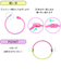 サンケーキコム　ふんわリング　パステルカラー　L　6本入り　SIL－P140