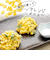 下村企販　キュートクック　とうもろこしカッター