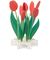 グリーティングライフ　ブルーミングカード　KE－36チューリップ