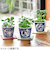 聖新陶芸　染付小紋草加BONSAI　ねこ／ミント　GD1022‐2