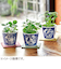 聖新陶芸　染付小紋草加BONSAI　ねこ／ミント　GD1022‐2