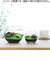 聖新陶芸　育てる水草　L　GD813
